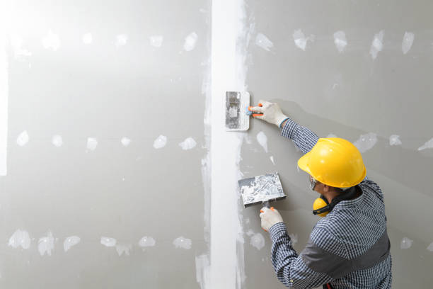 Best Mold Documentation for Insurance Claims  in Wilmington, OH