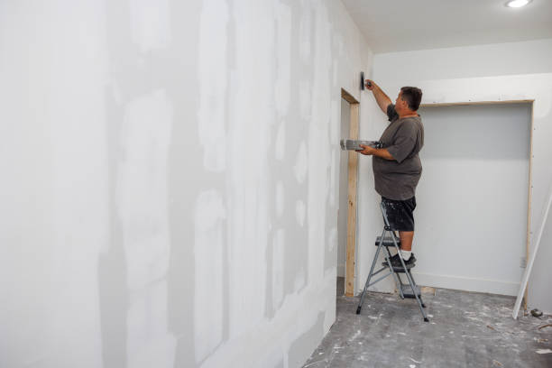 Mold Odor Removal Services in Wilmington, OH
