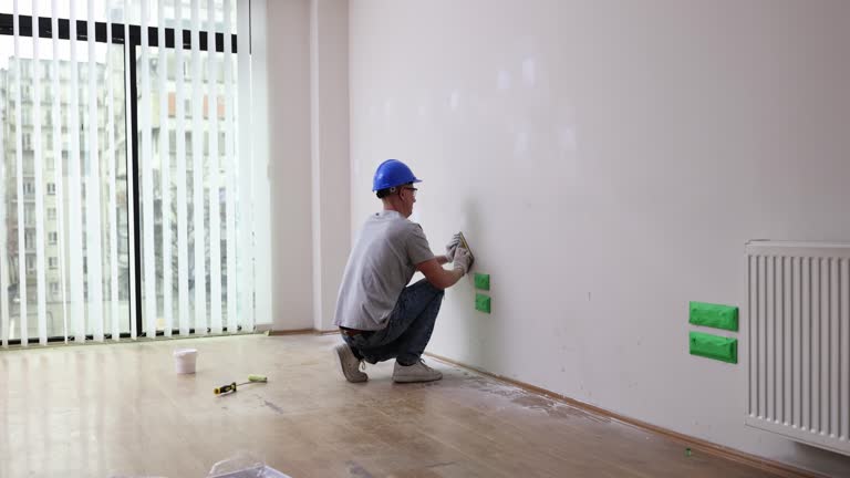 Best Black Mold Removal  in Wilmington, OH