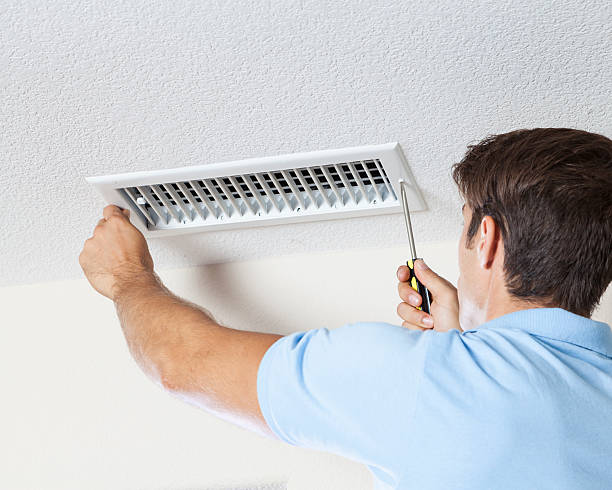 Best Biohazard Mold Removal  in Wilmington, OH