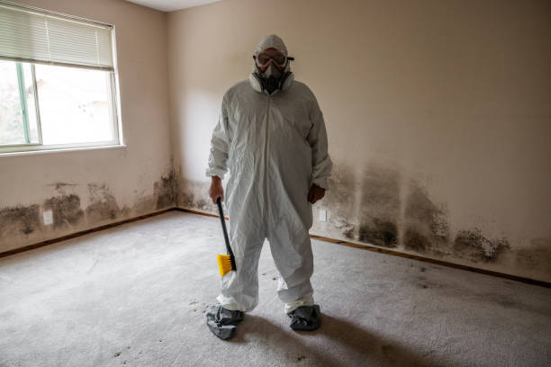 Best Commercial Mold Inspection  in Wilmington, OH